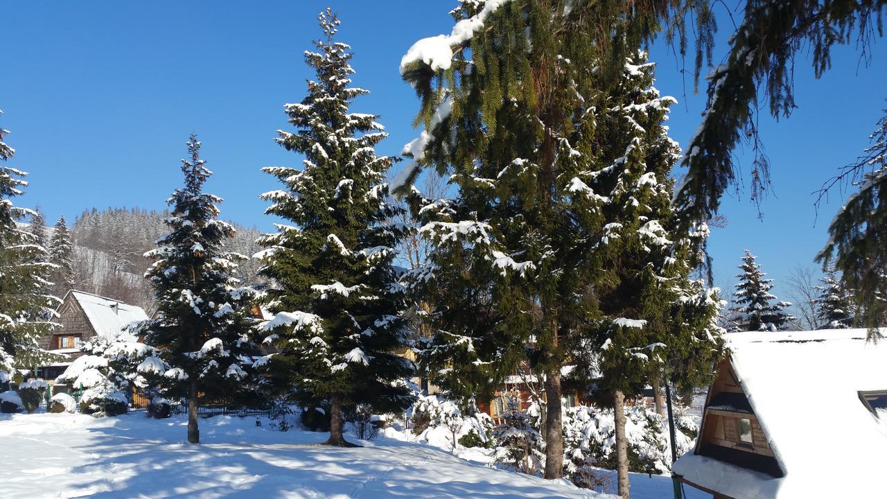 Camping Harenda Pokoje Goscinne I Domki Закопане Экстерьер фото